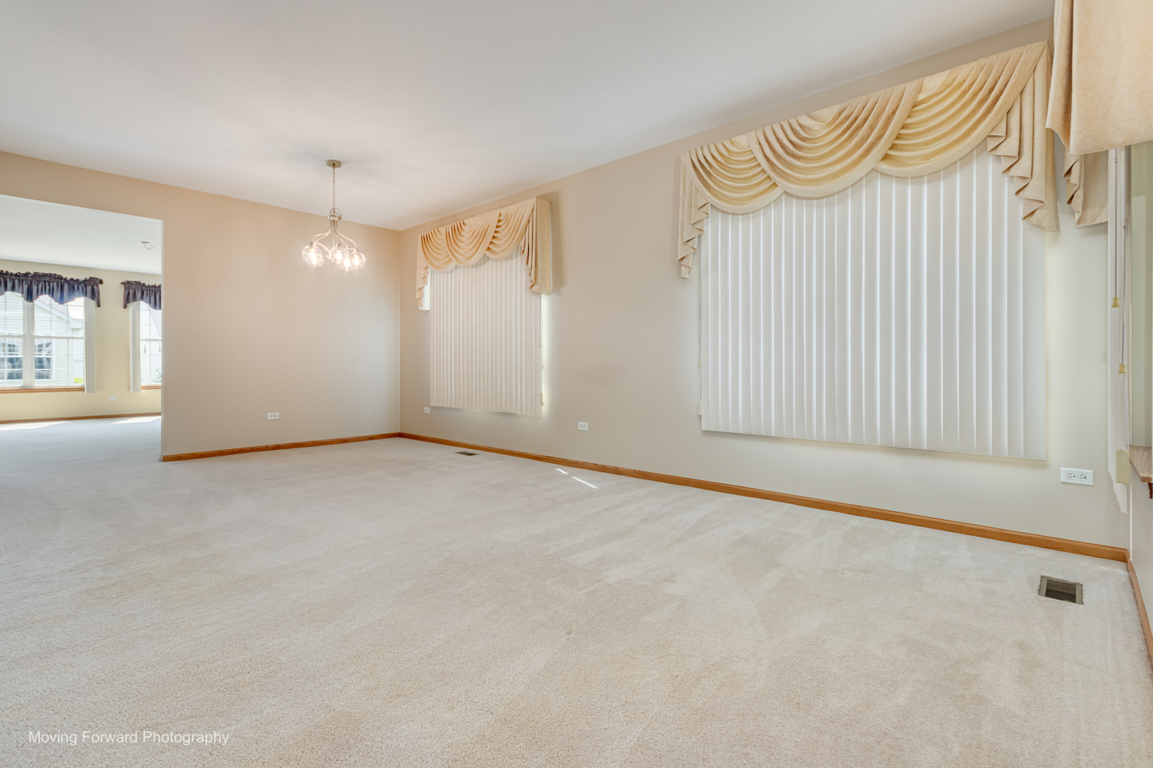 21311 Prince Lake Drive Property Photo 6