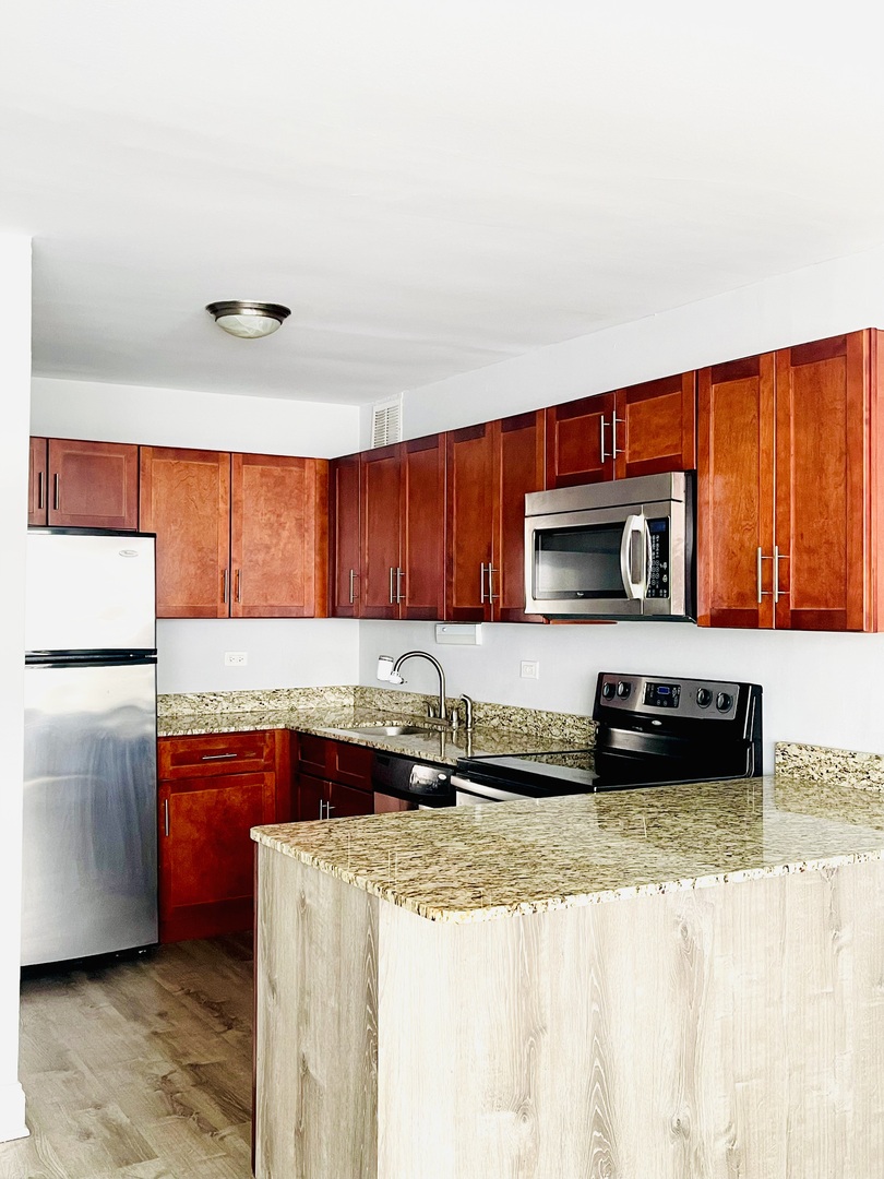 655 W Irving Park Road 311 Property Photo 3
