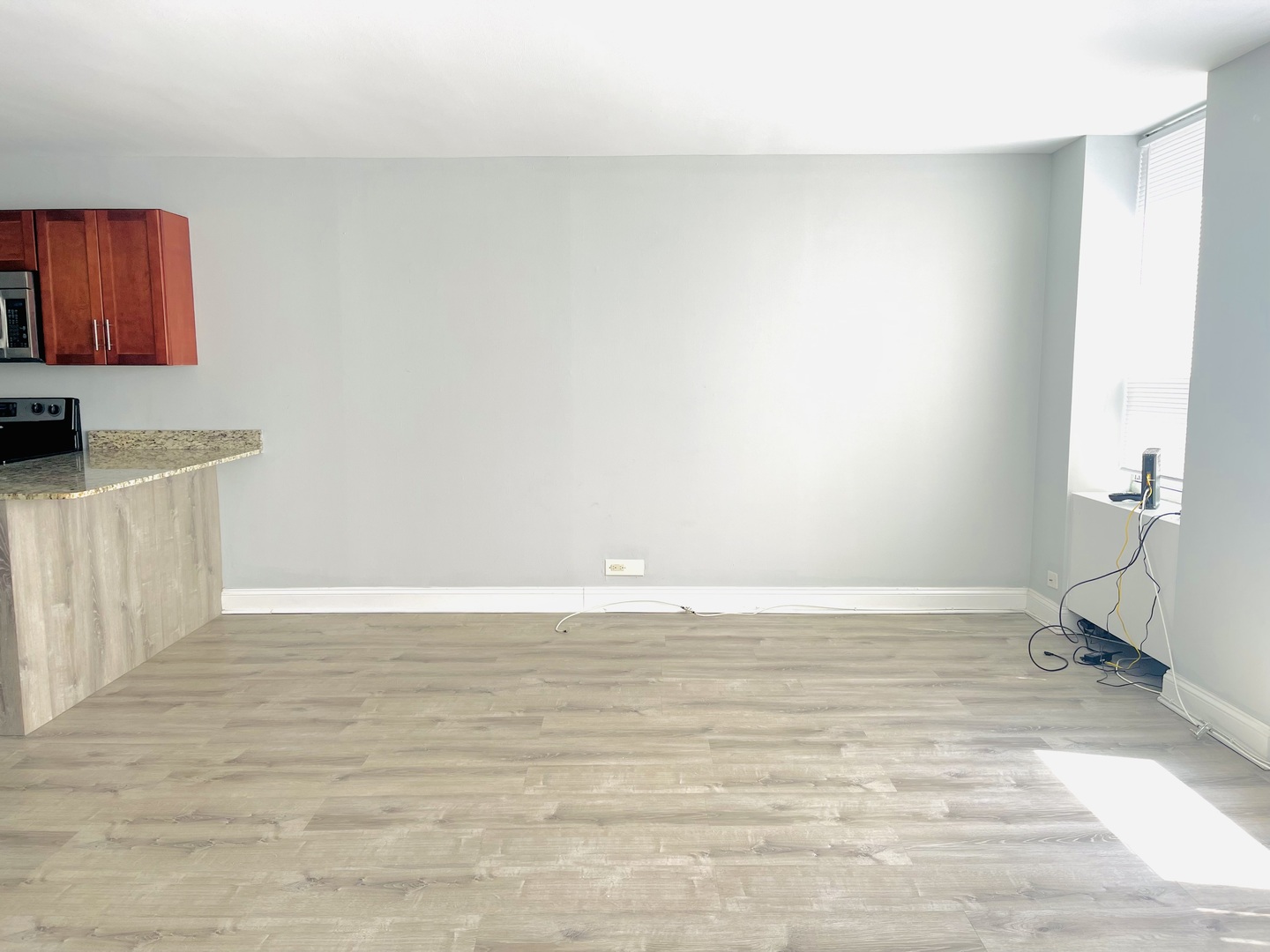 655 W Irving Park Road 311 Property Photo 5