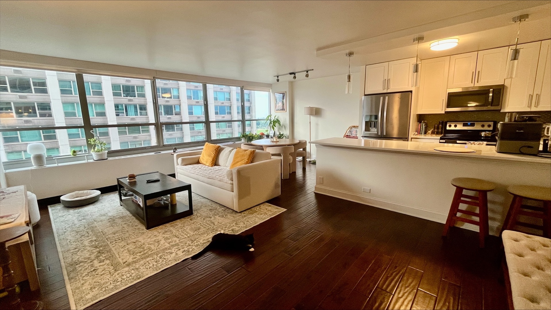 3550 N Lake Shore Drive 920 Property Photo 2