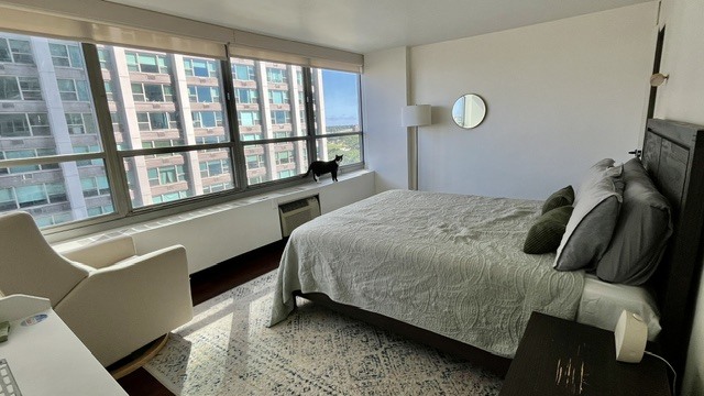 3550 N Lake Shore Drive 920 Property Photo 12