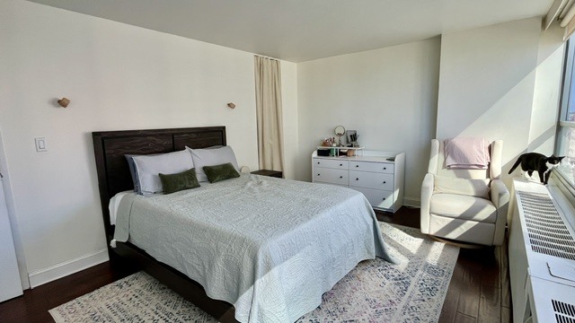 3550 N Lake Shore Drive 920 Property Photo 13