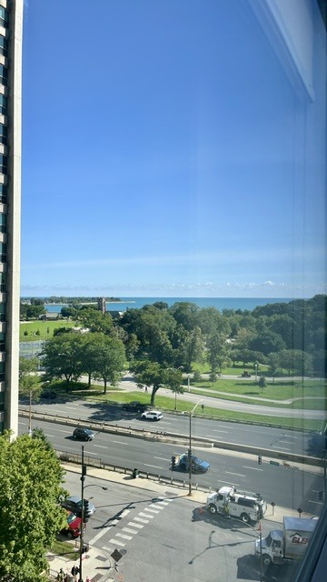 3550 N Lake Shore Drive 920 Property Photo 18
