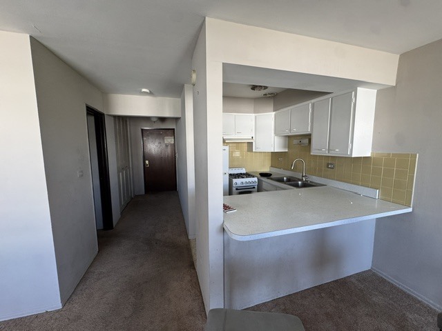 5348 N Cumberland Avenue 405 Property Photo 3