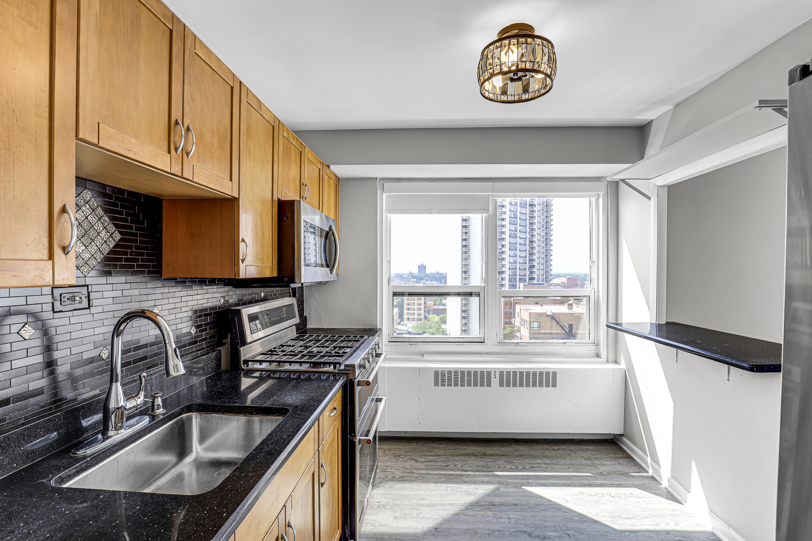 3950 N Lake Shore Drive 1219d Property Photo 3