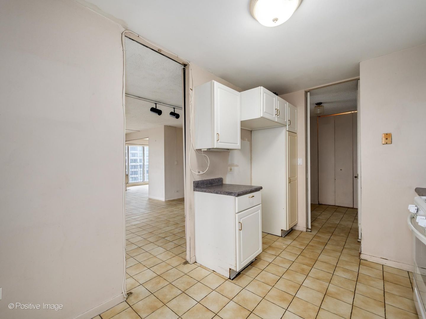 1960 N Lincoln Park West 2103 Property Photo 14
