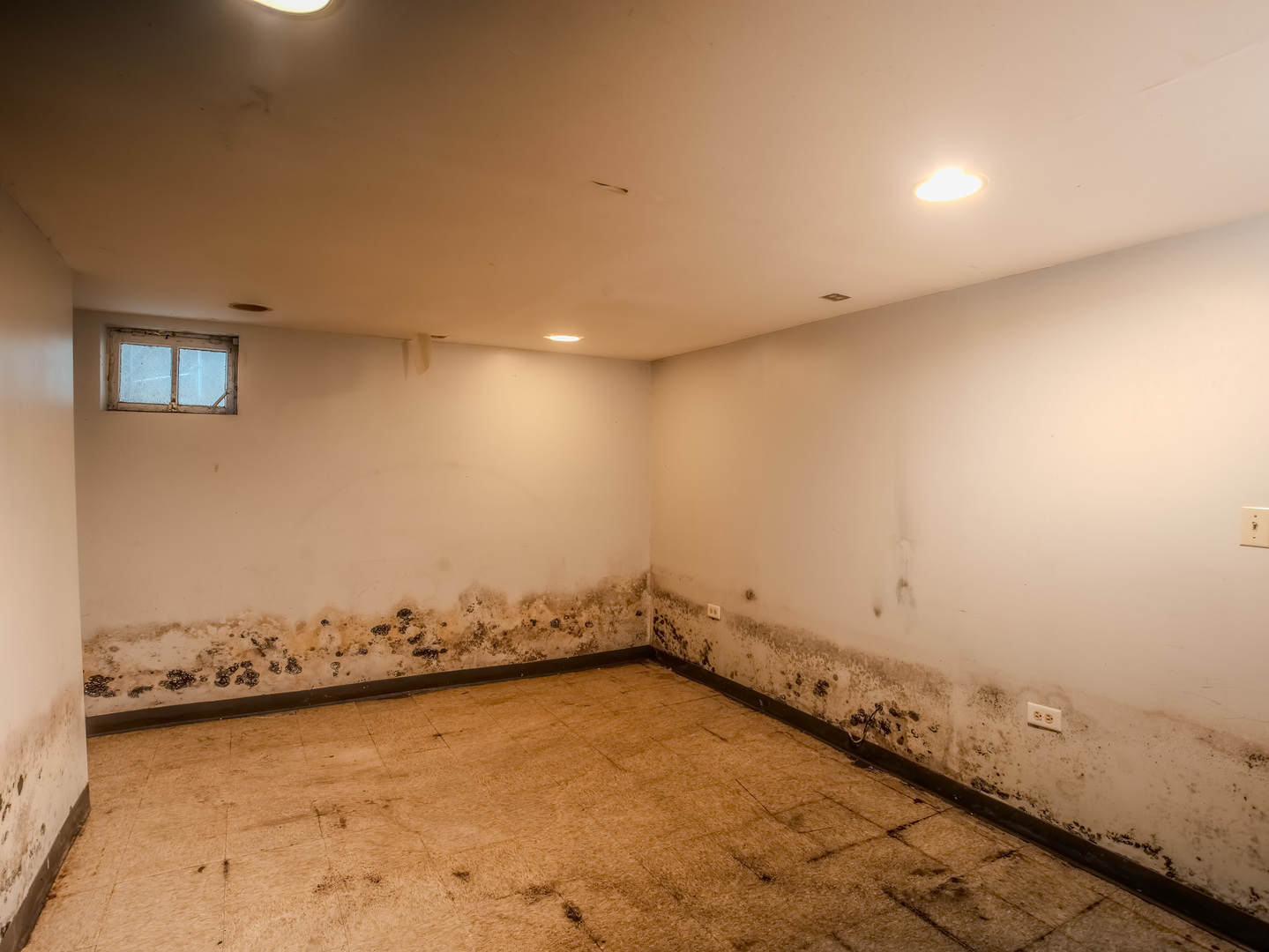 250 E 143rd Street Property Photo 16