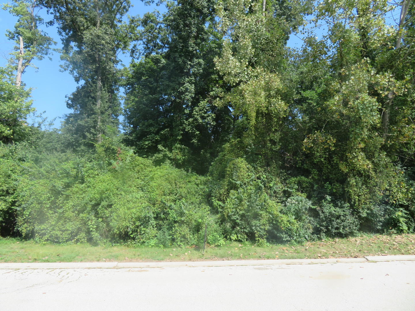 322 Edgewater Drive Property Photo 1