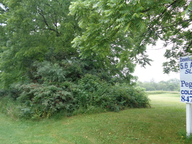 3523 Long Grove Road Property Photo 6