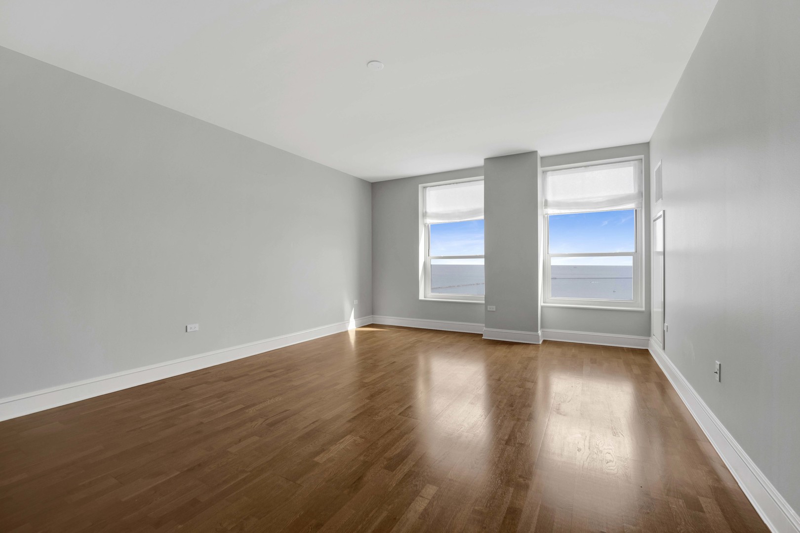 850 N Lake Shore Drive 1103 Property Photo 5