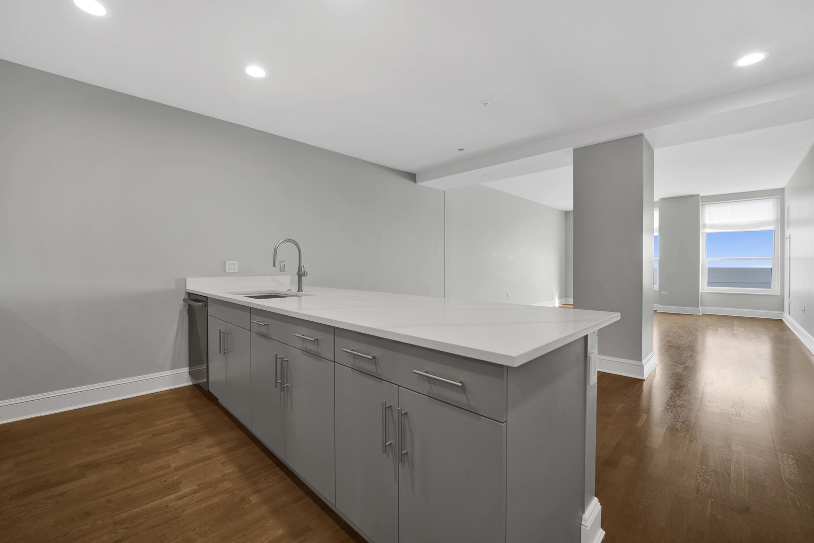 850 N Lake Shore Drive 1103 Property Photo 10