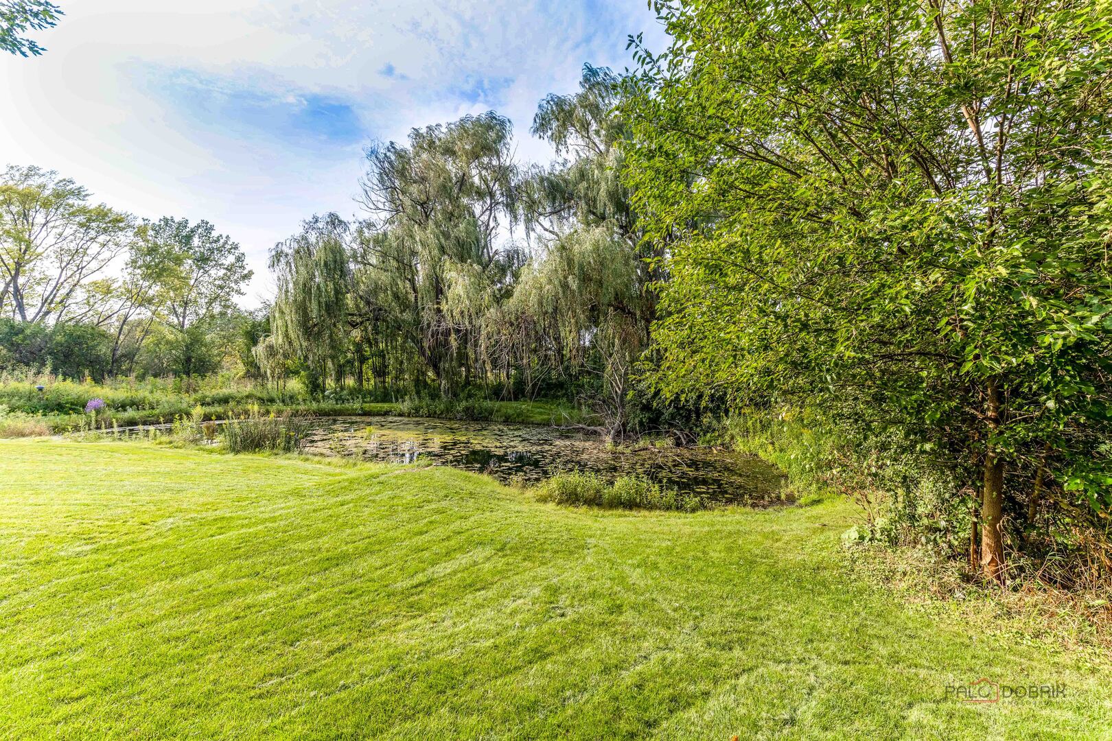 22904 N Ridgewood Lane Property Photo 47