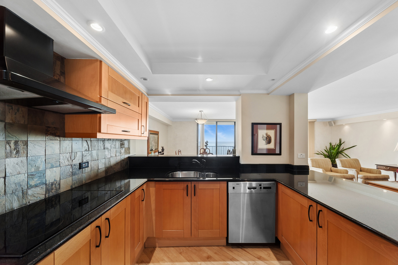 1212 N Lake Shore Drive 16as Property Photo 21