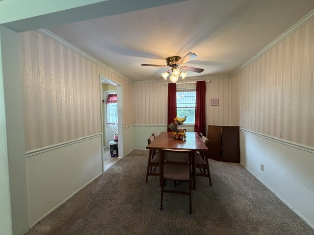 527 Edwin Drive Property Photo 8
