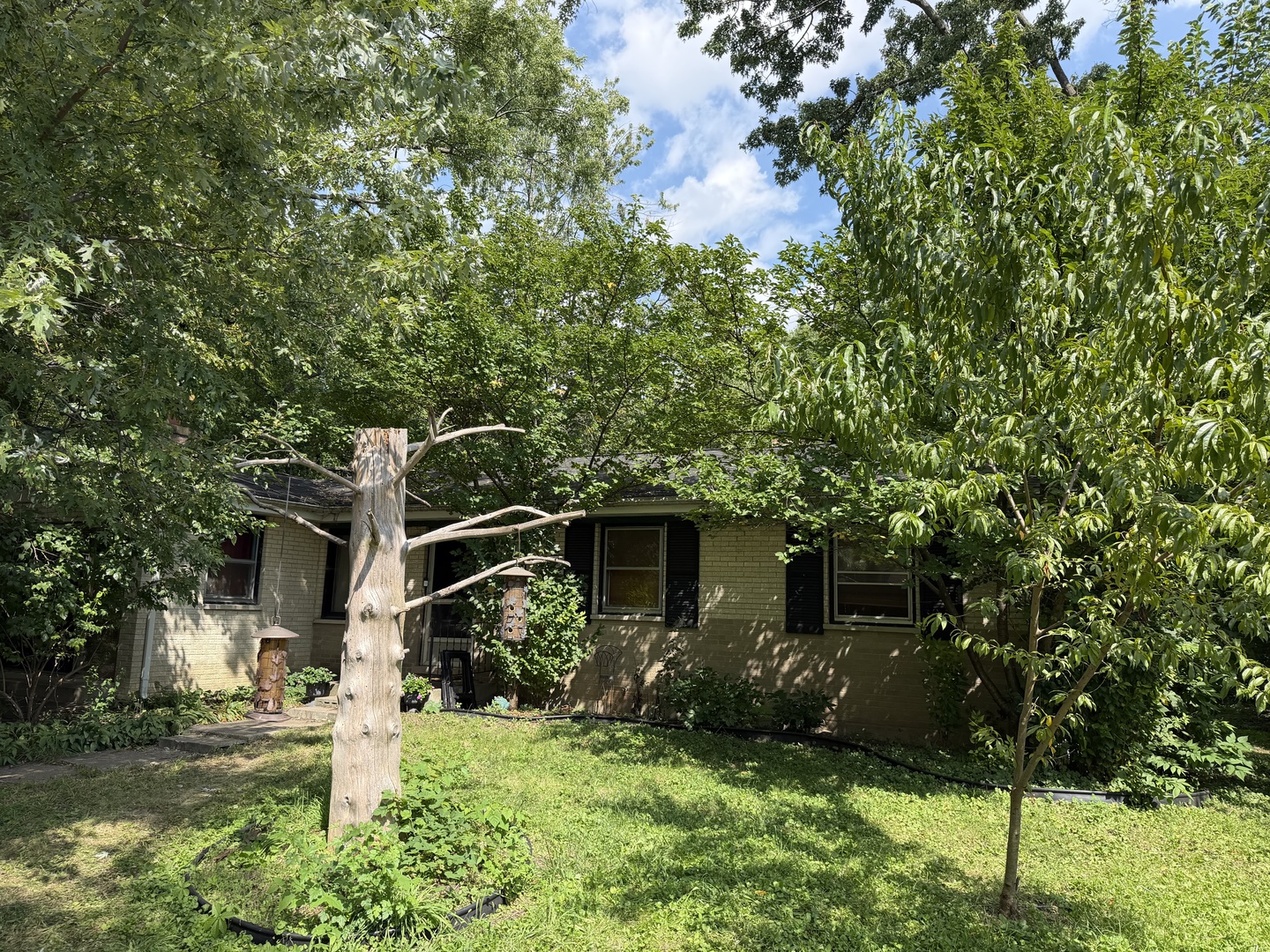 159 Thomas Lane Property Photo 1