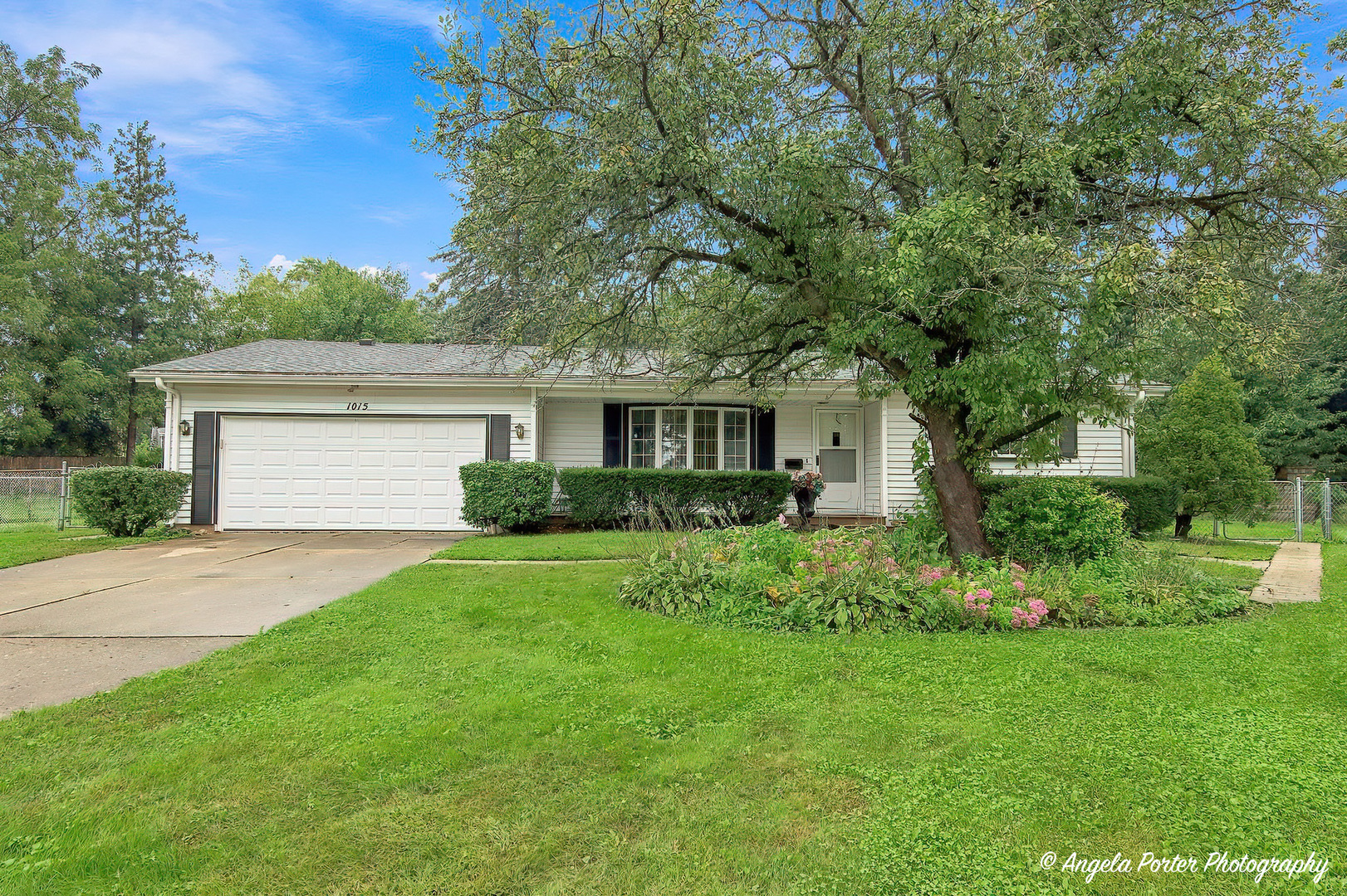 1015 Somerset Property Photo 2