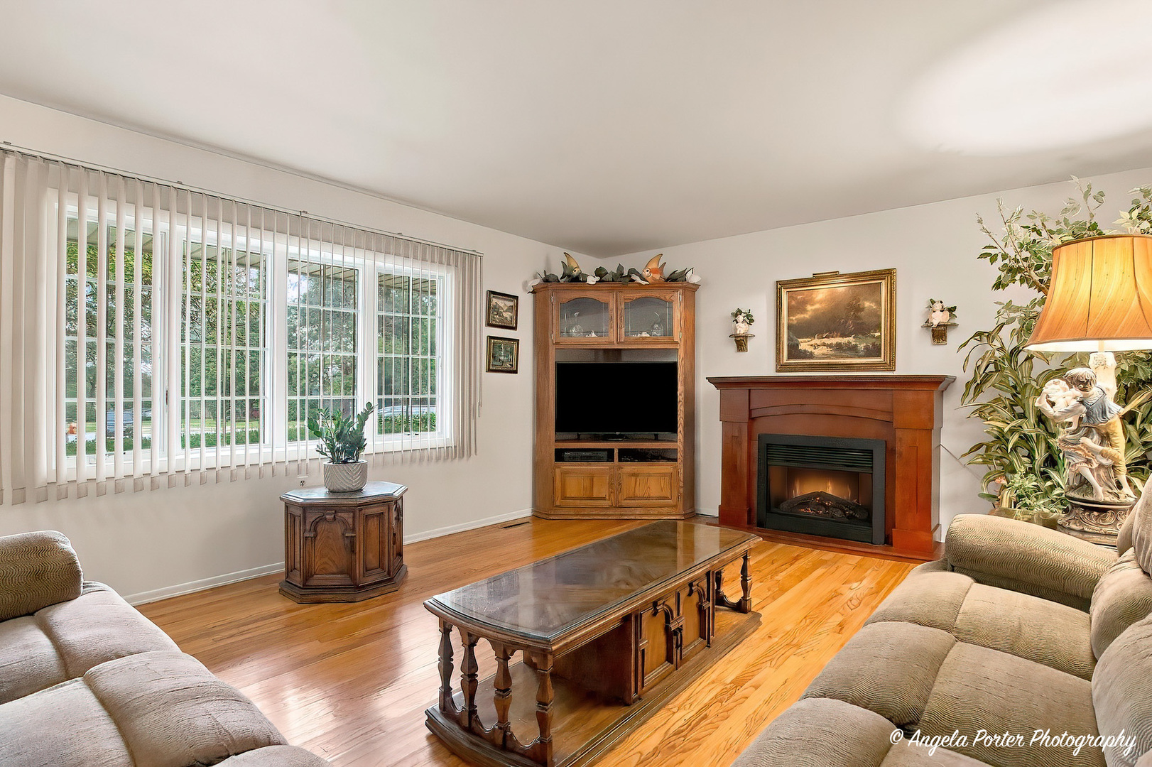 1015 Somerset Property Photo 5