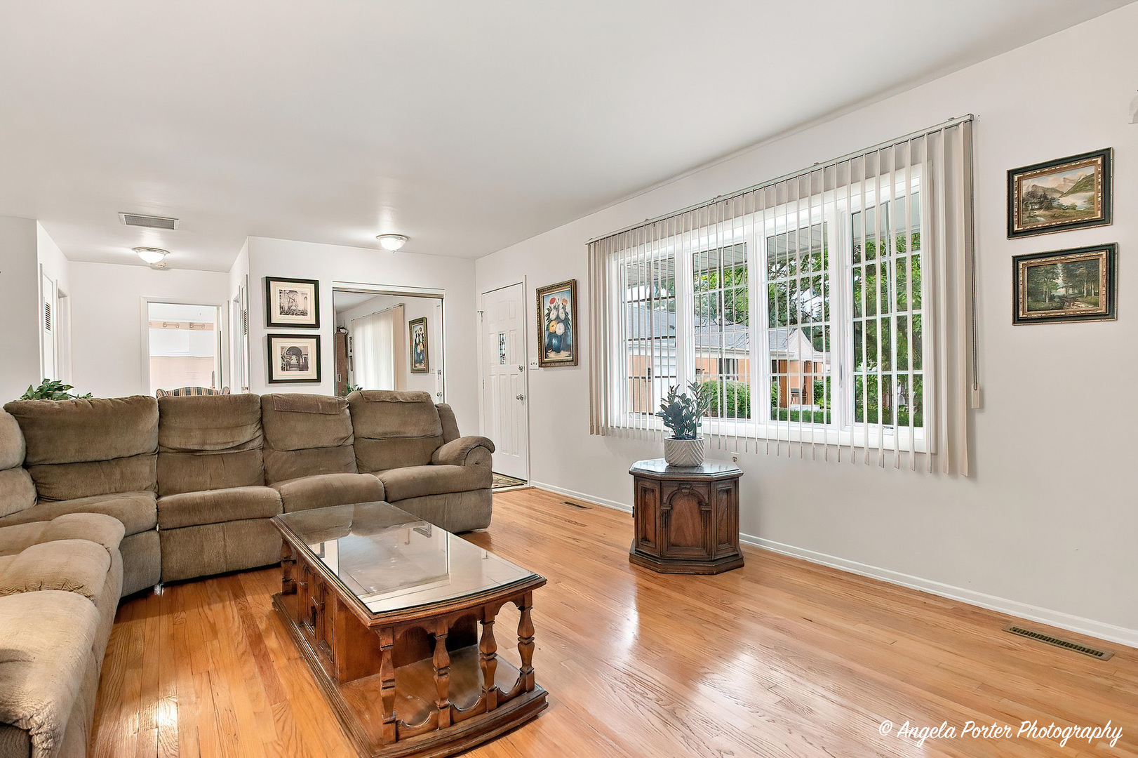 1015 Somerset Property Photo 6