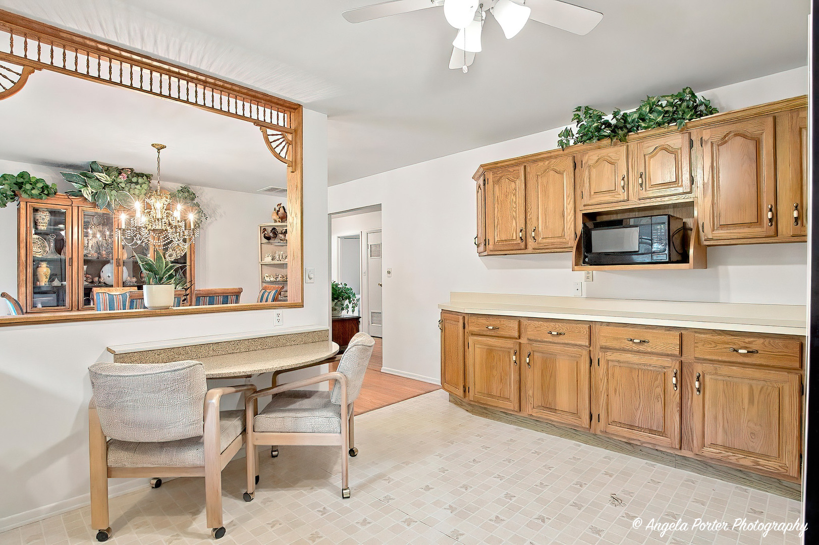 1015 Somerset Property Photo 14