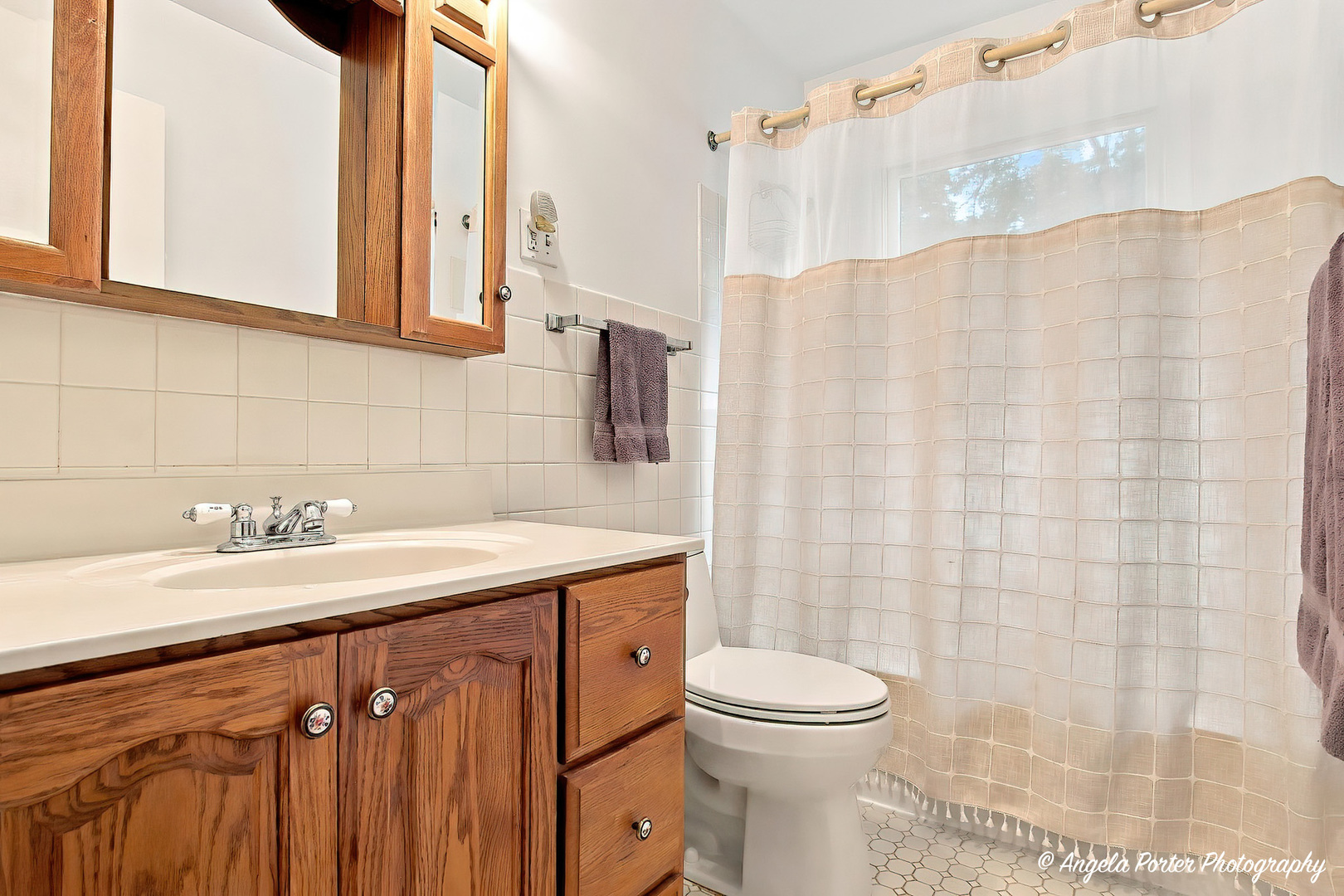 1015 Somerset Property Photo 22