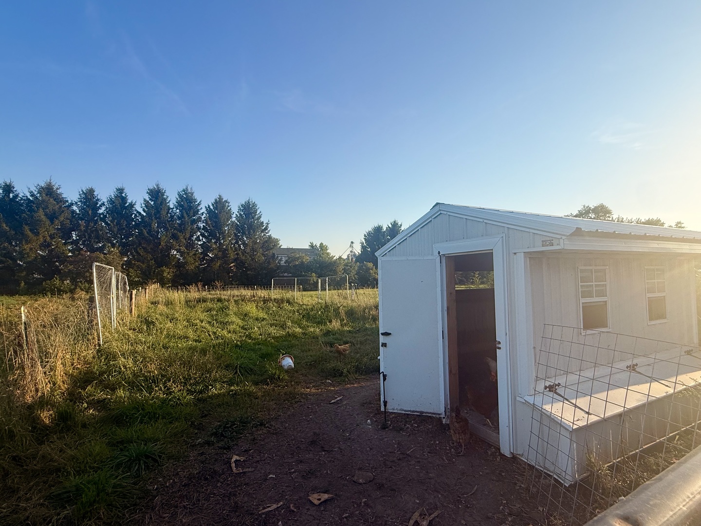 652 Paw Paw Road Property Photo 4