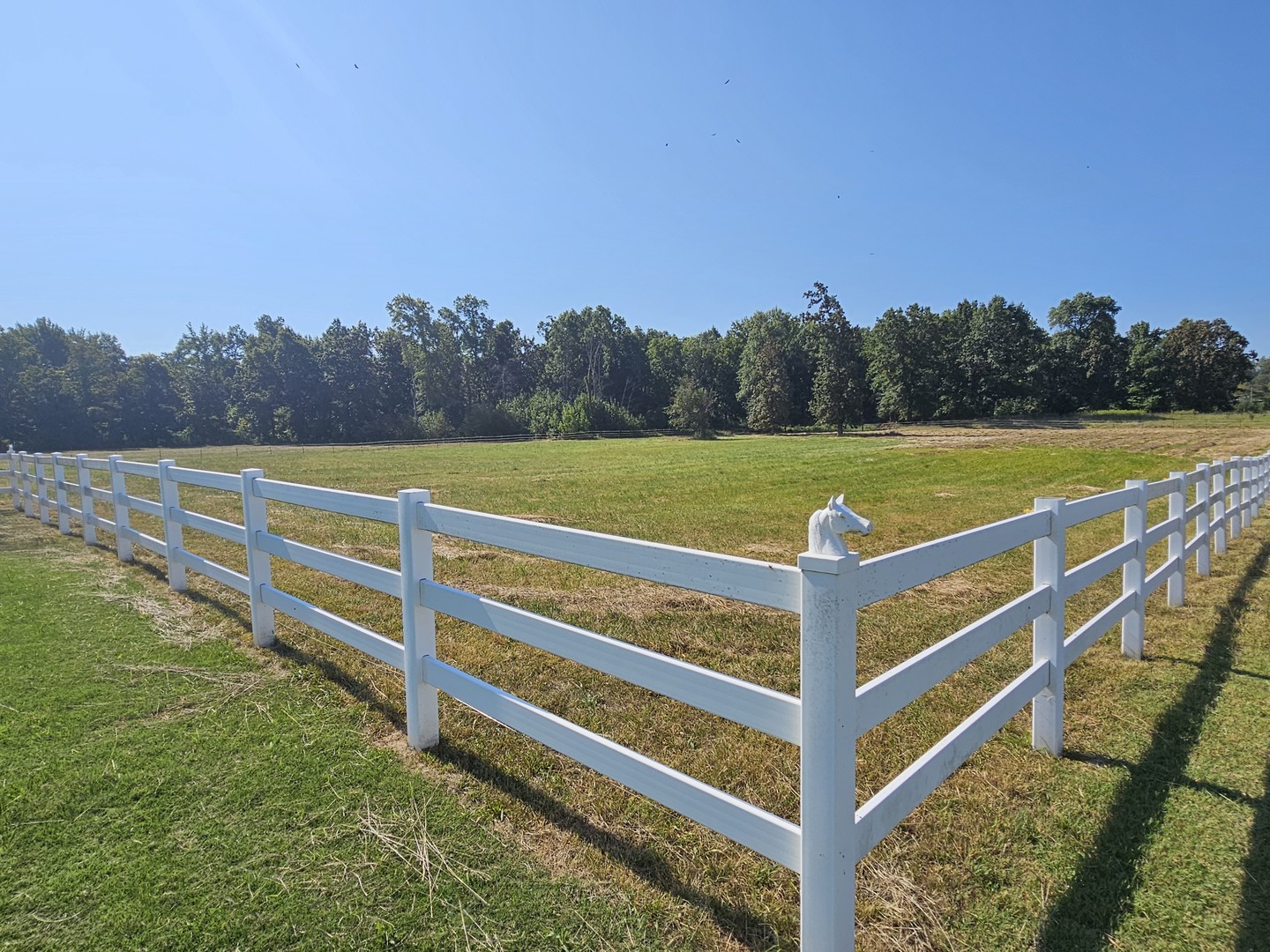 11246 N General Tire Lane Property Photo 2