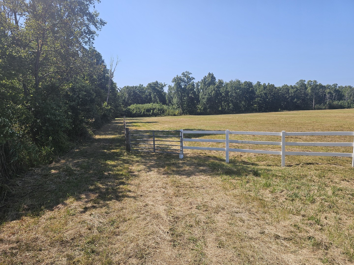11246 N General Tire Lane Property Photo 5