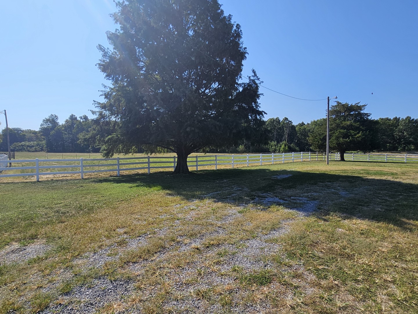 11246 N General Tire Lane Property Photo 22