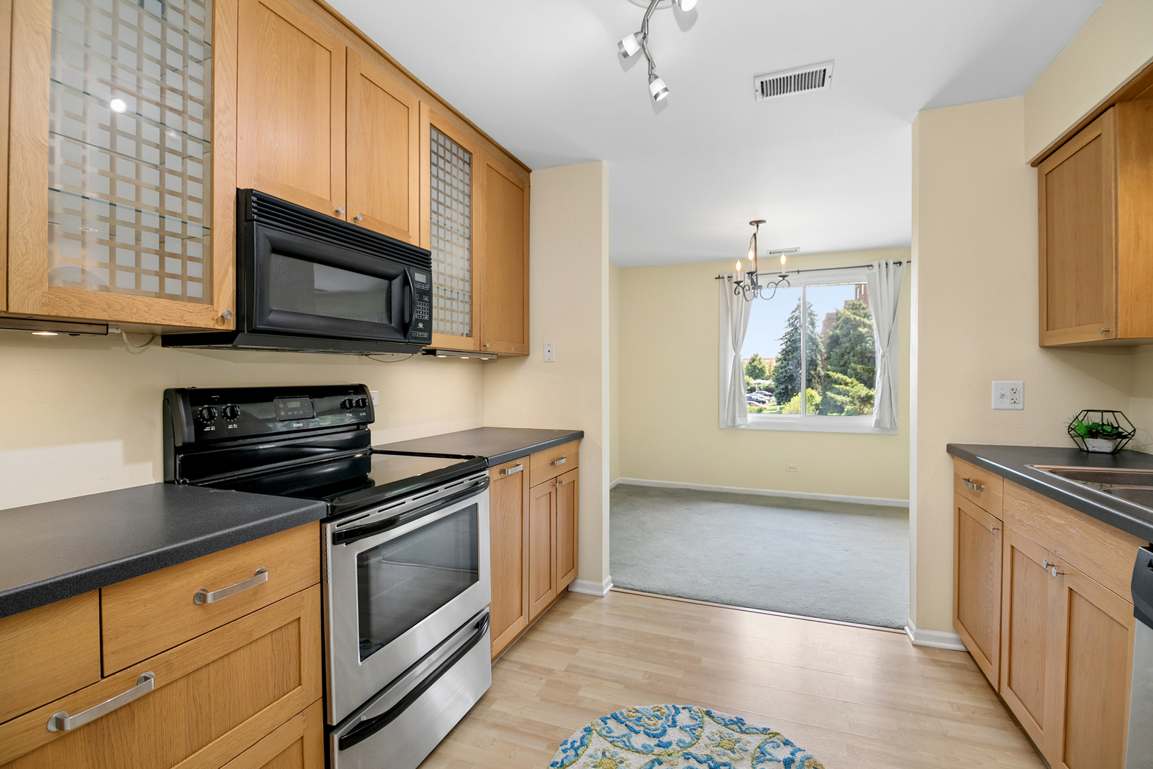462 Raintree Drive 2a Property Photo 10