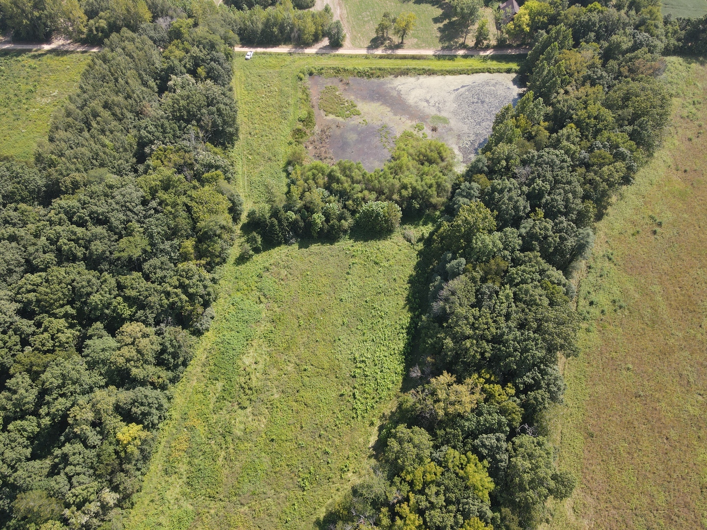 000 County Road 1450 Property Photo 15