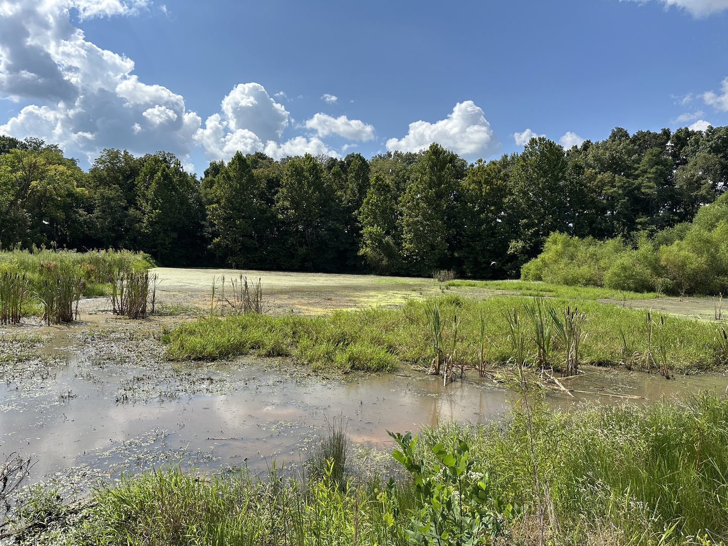 000 County Road 1450 Property Photo 17