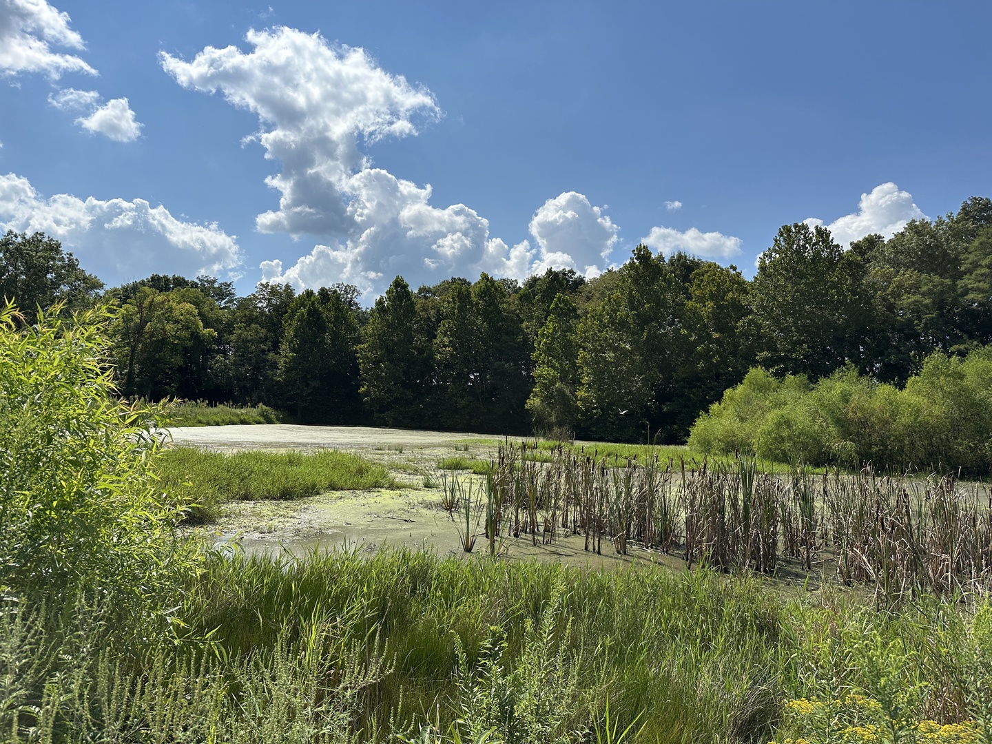 000 County Road 1450 Property Photo 18
