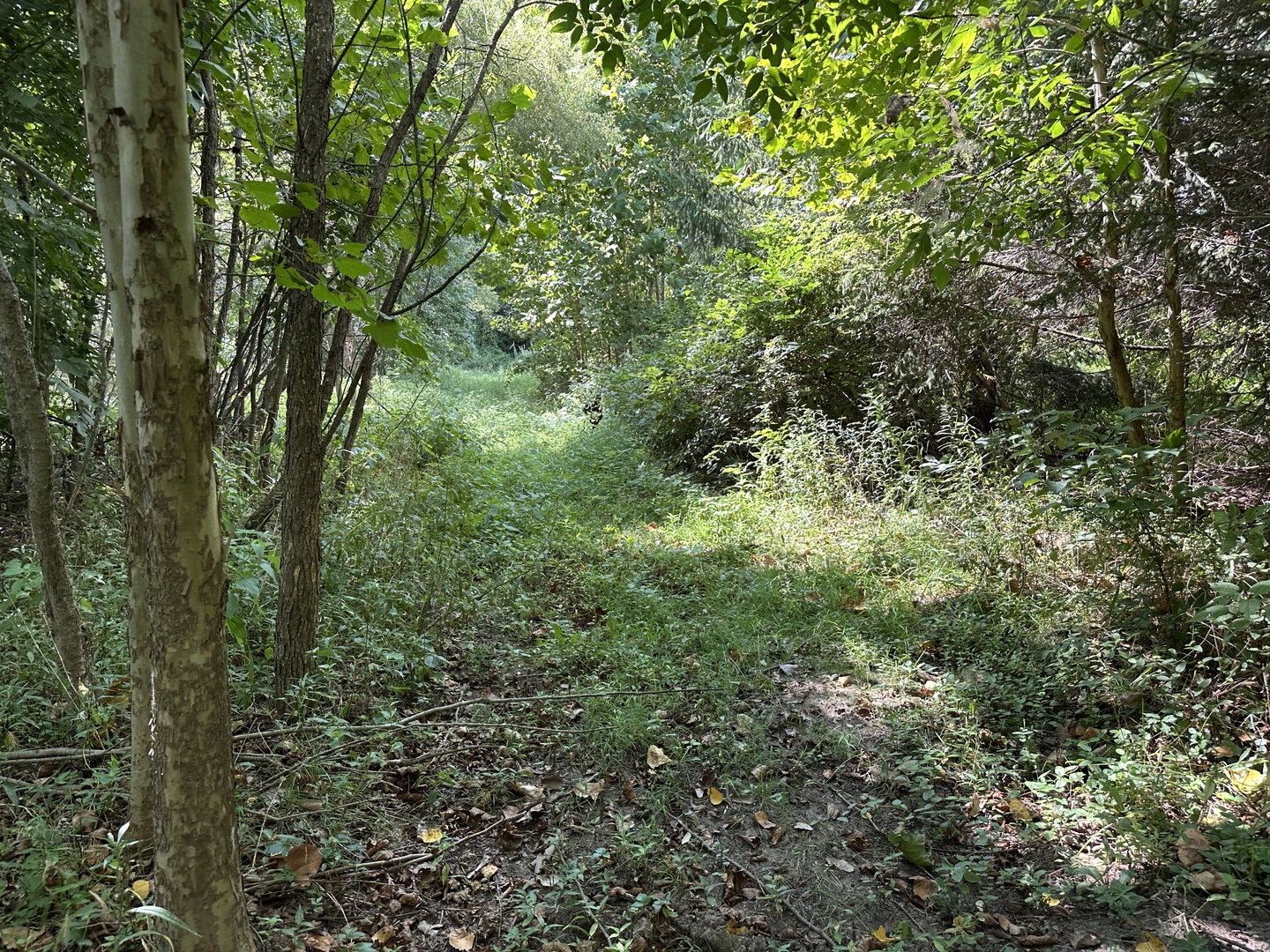 000 County Road 1450 Property Photo 19