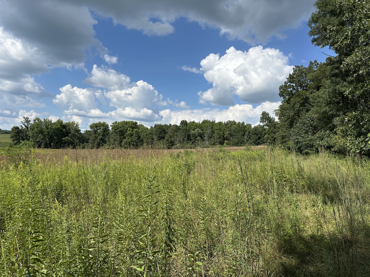 000 County Road 1450 Property Photo 20