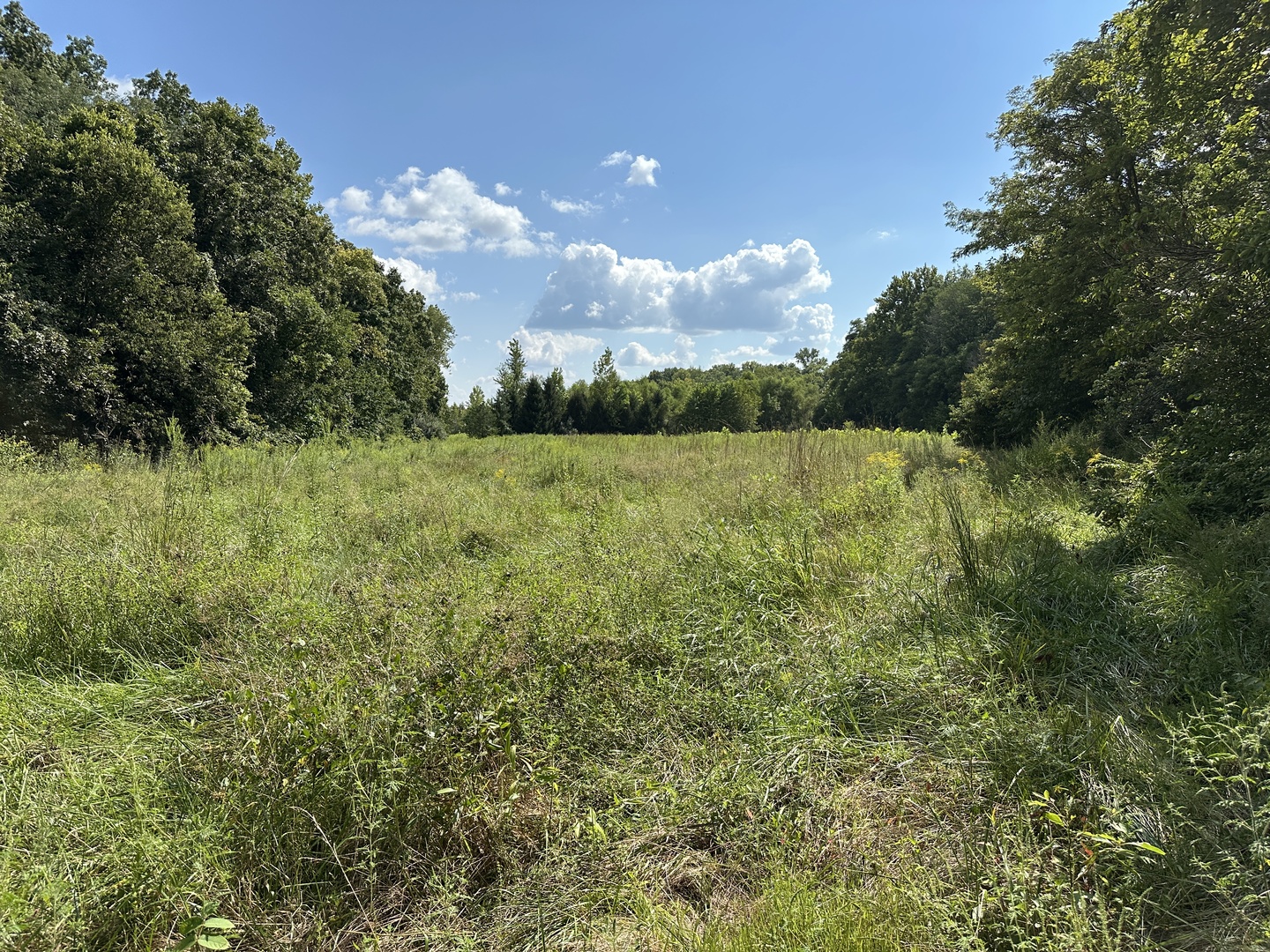 000 County Road 1450 Property Photo 28