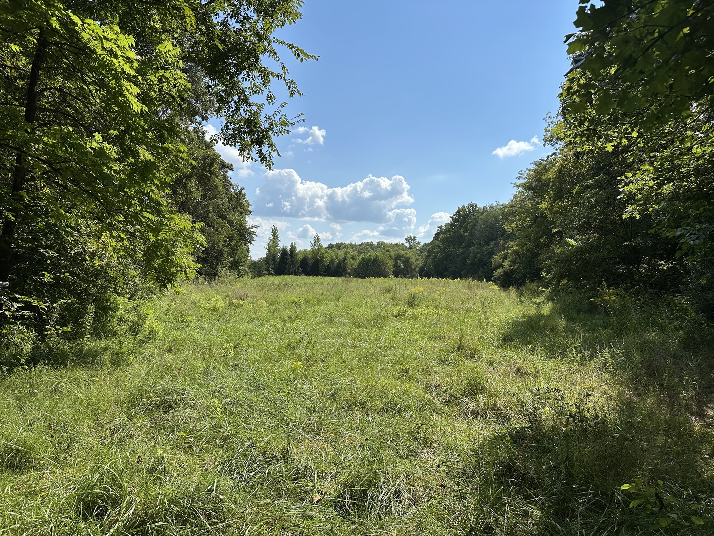 000 County Road 1450 Property Photo 29