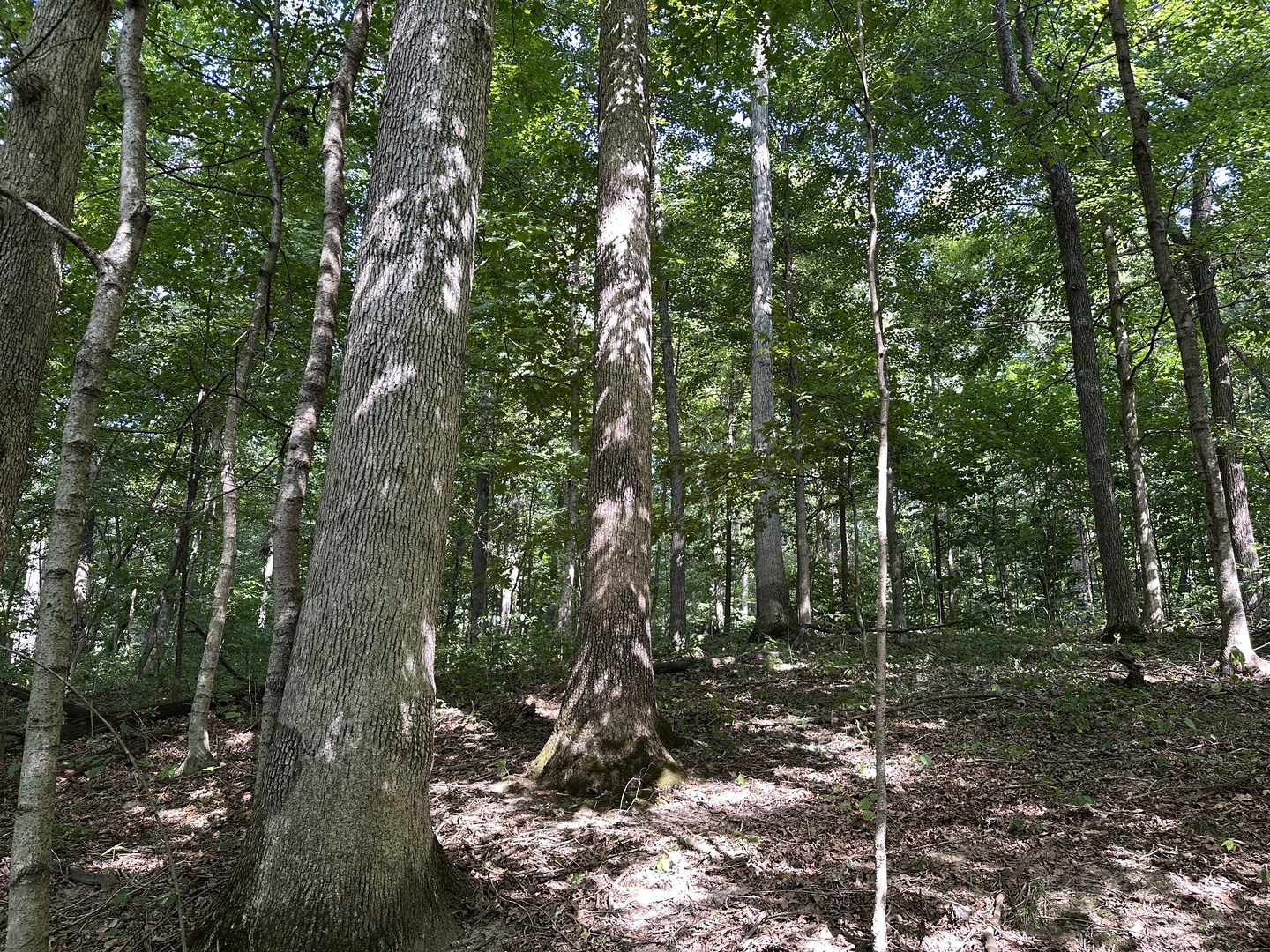 000 County Road 1450 Property Photo 30