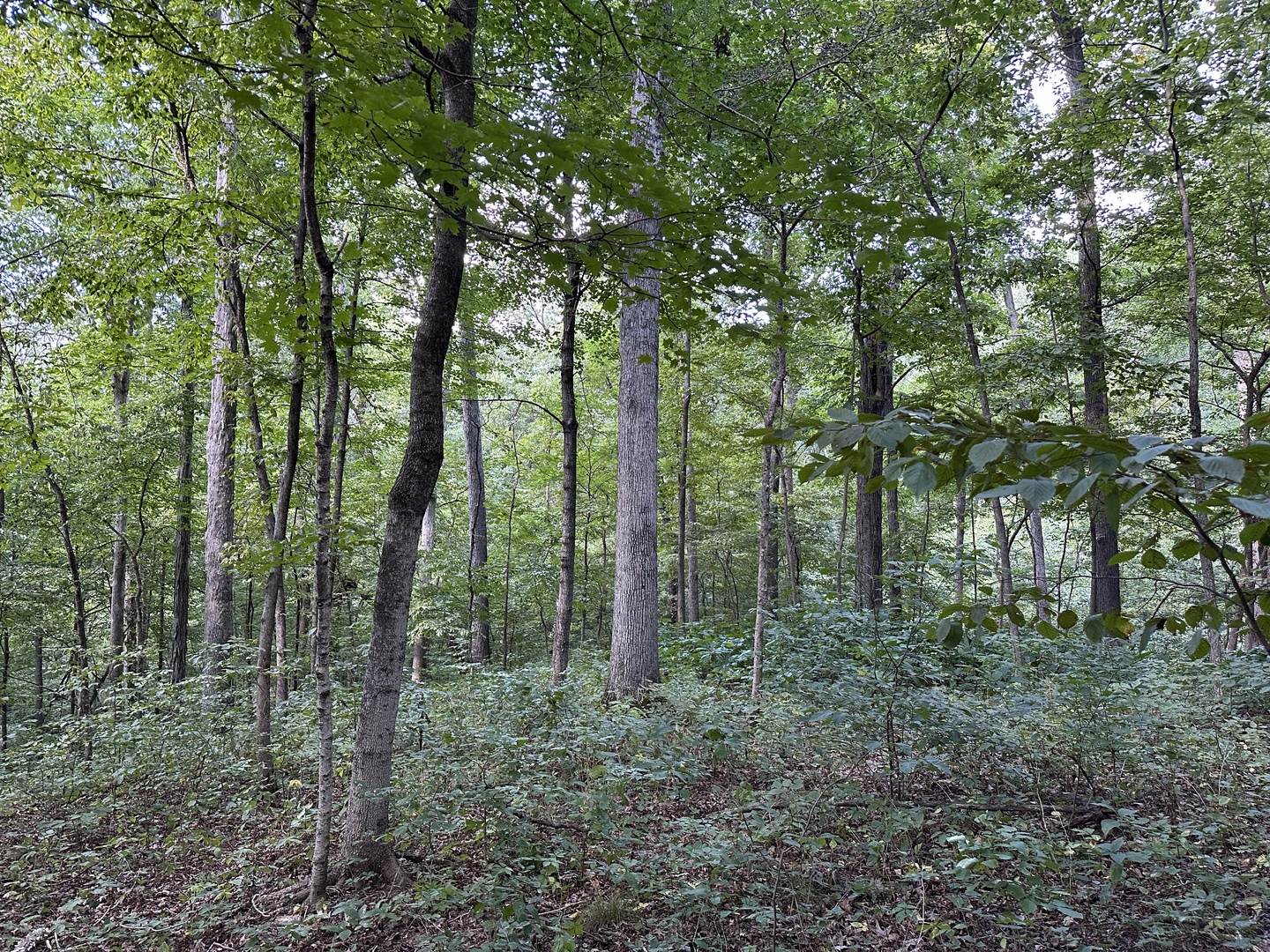 000 County Road 1450 Property Photo 31