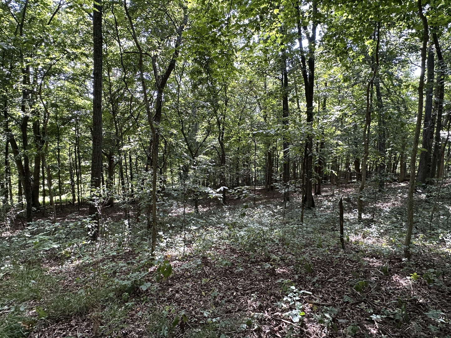 000 County Road 1450 Property Photo 36