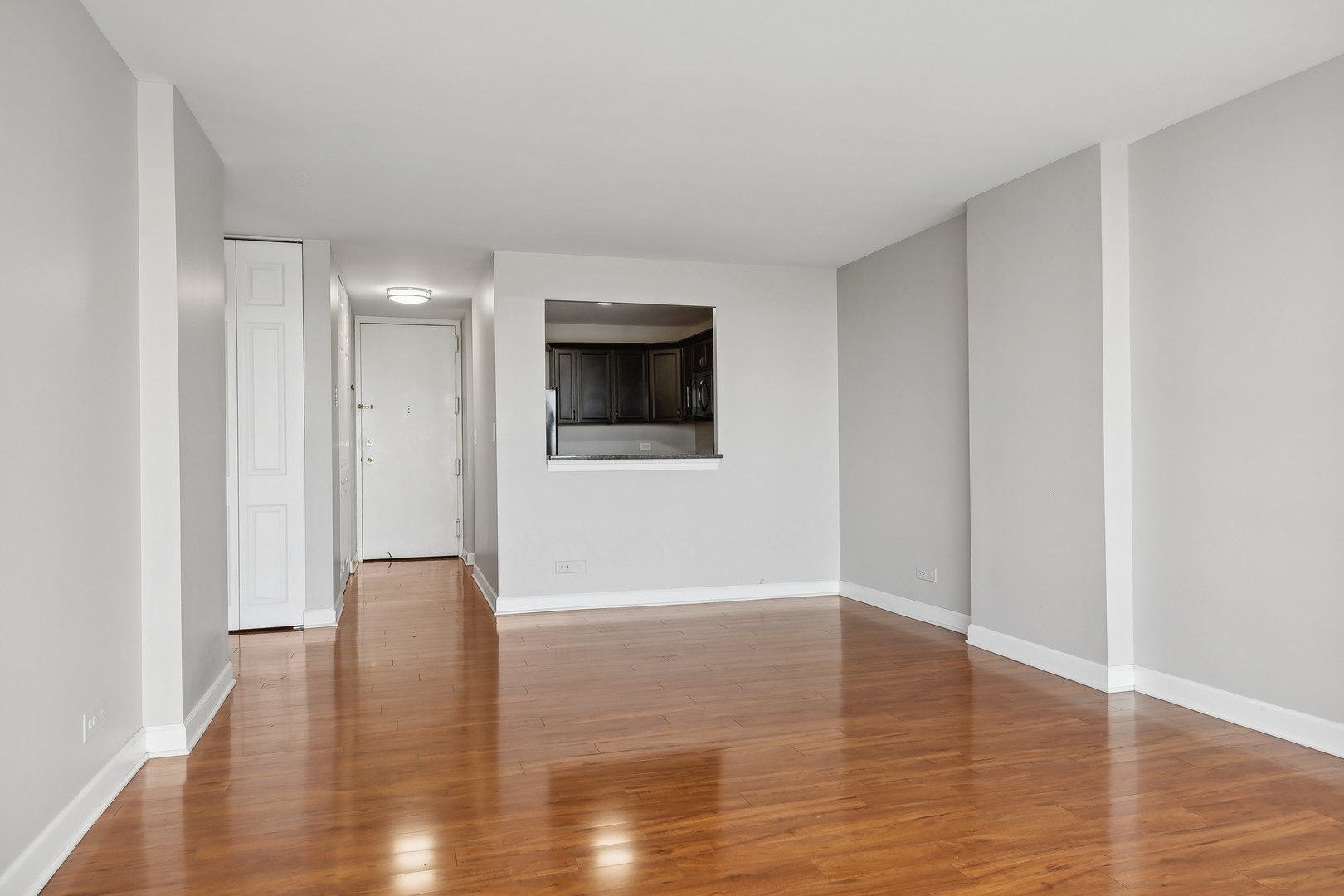 1636 N Wells Street 1108 Property Photo 5