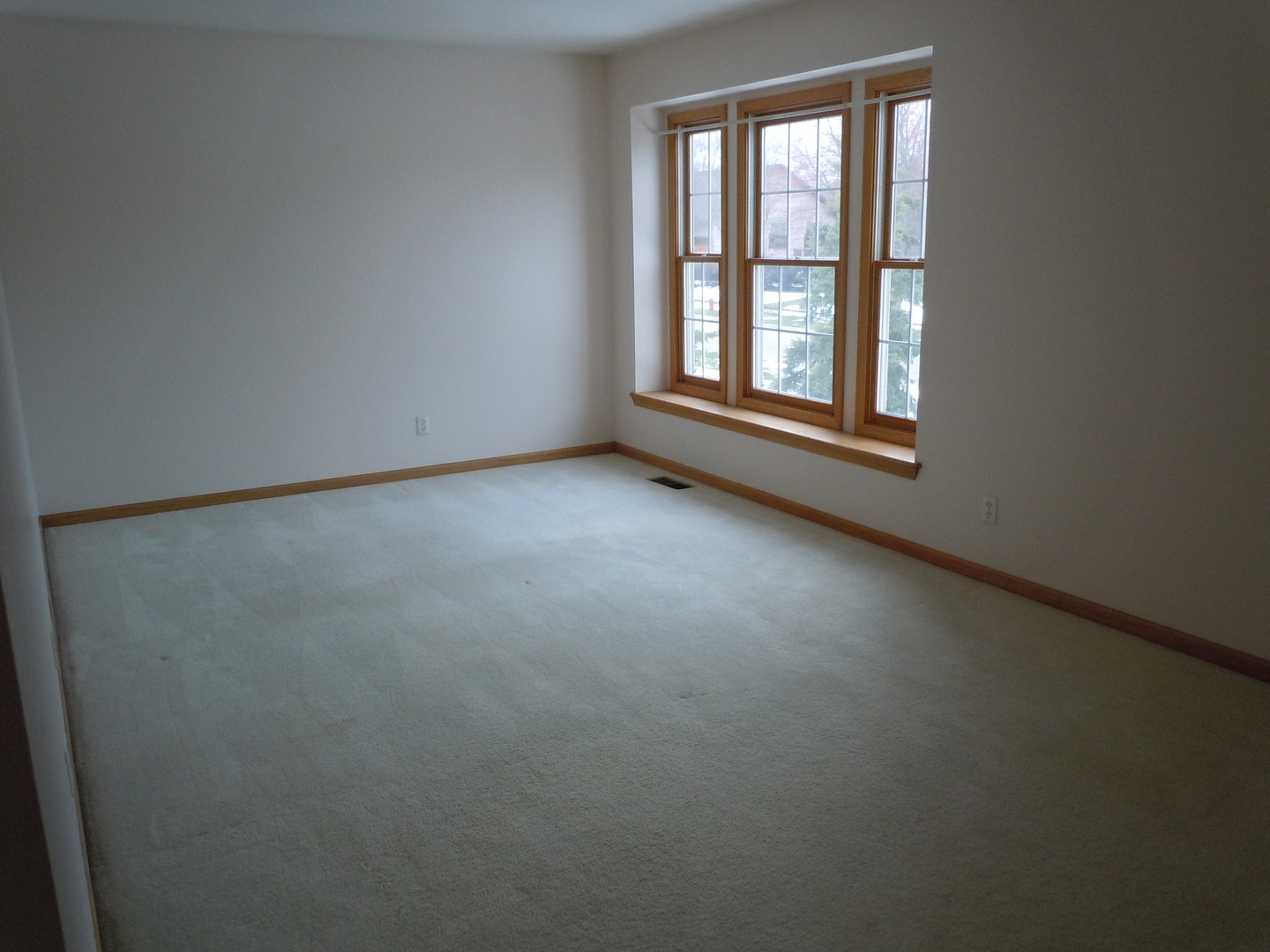 12748902 Property Photo 15