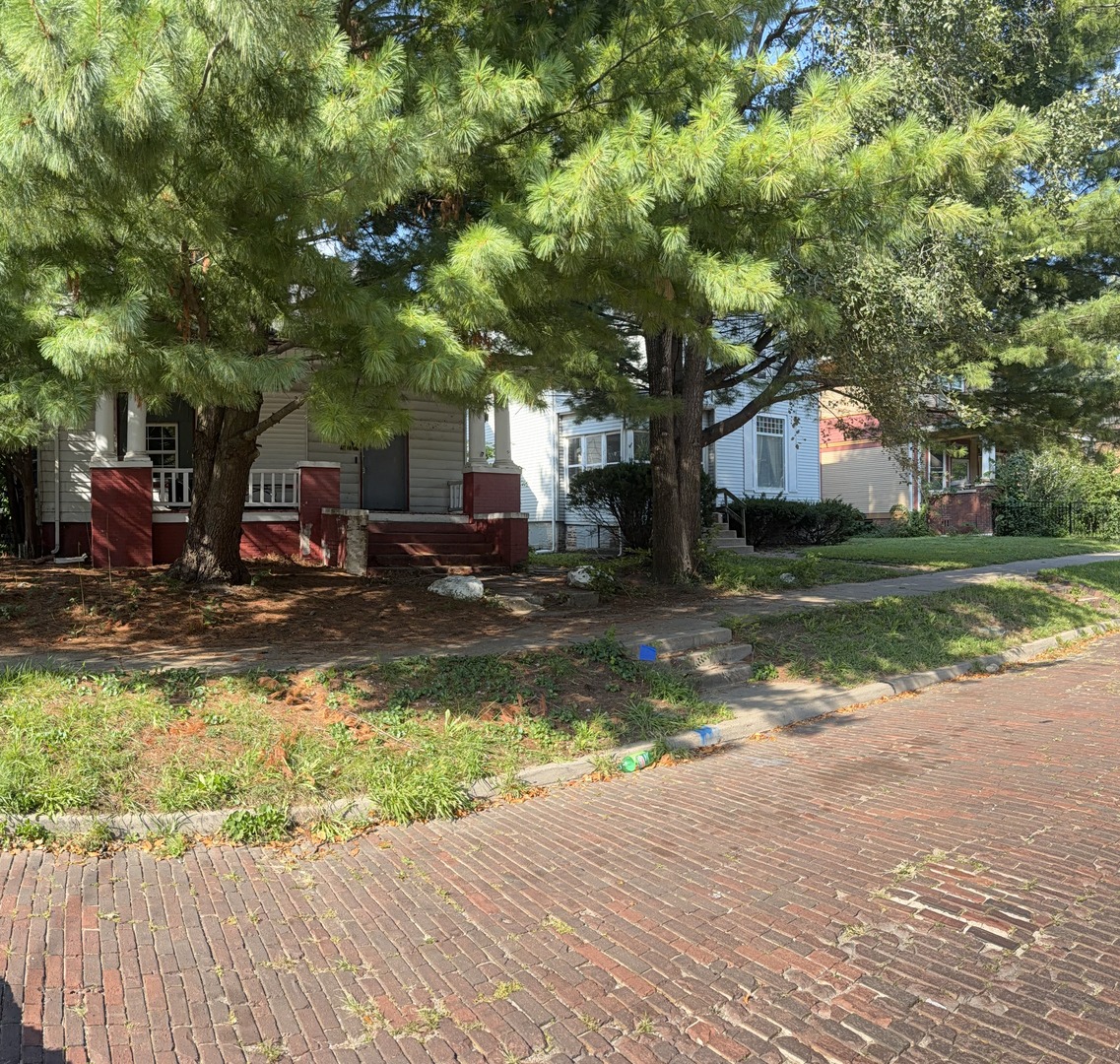 605 W Armstrong Avenue Property Photo 3