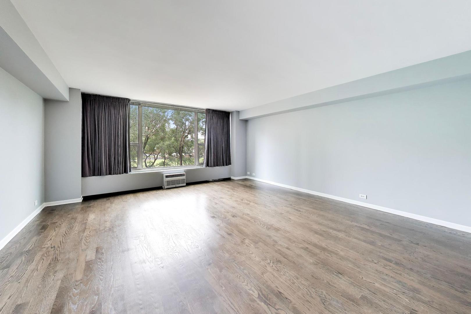 3600 N Lake Shore Drive 222 Property Photo 2