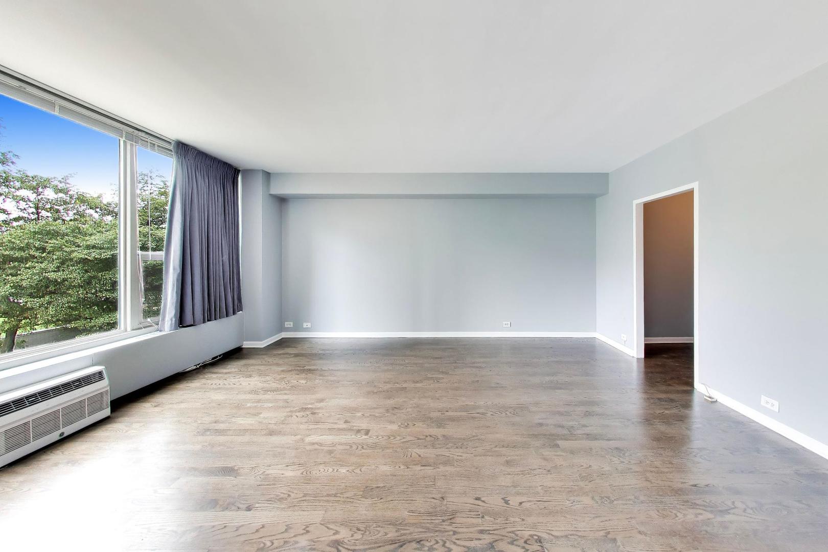 3600 N Lake Shore Drive 222 Property Photo 3