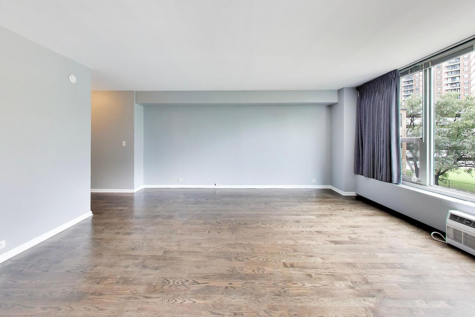 3600 N Lake Shore Drive 222 Property Photo 4