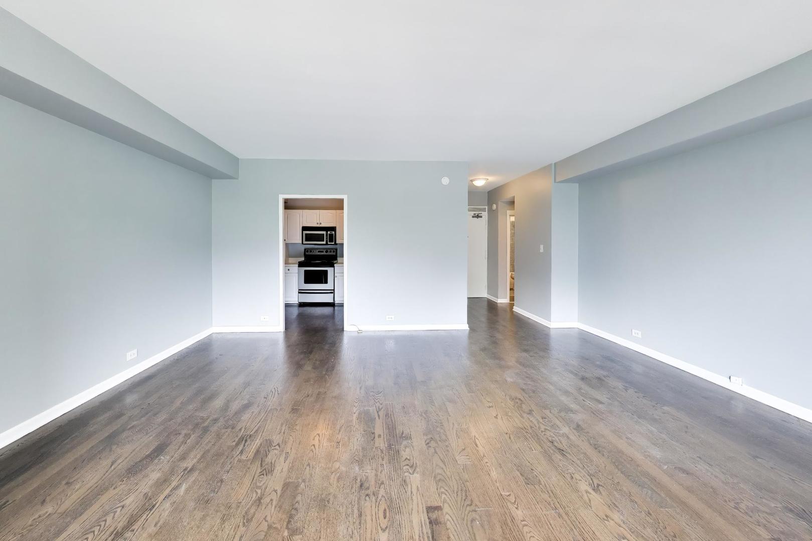 3600 N Lake Shore Drive 222 Property Photo 5