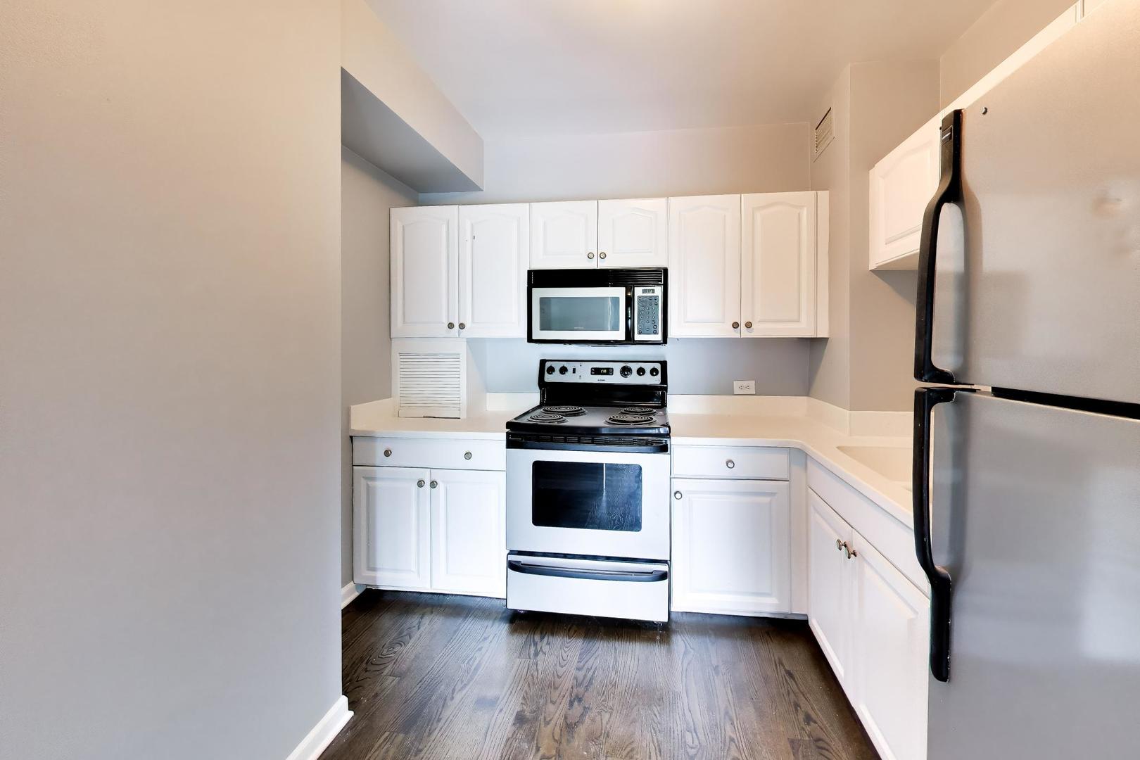 3600 N Lake Shore Drive 222 Property Photo 6