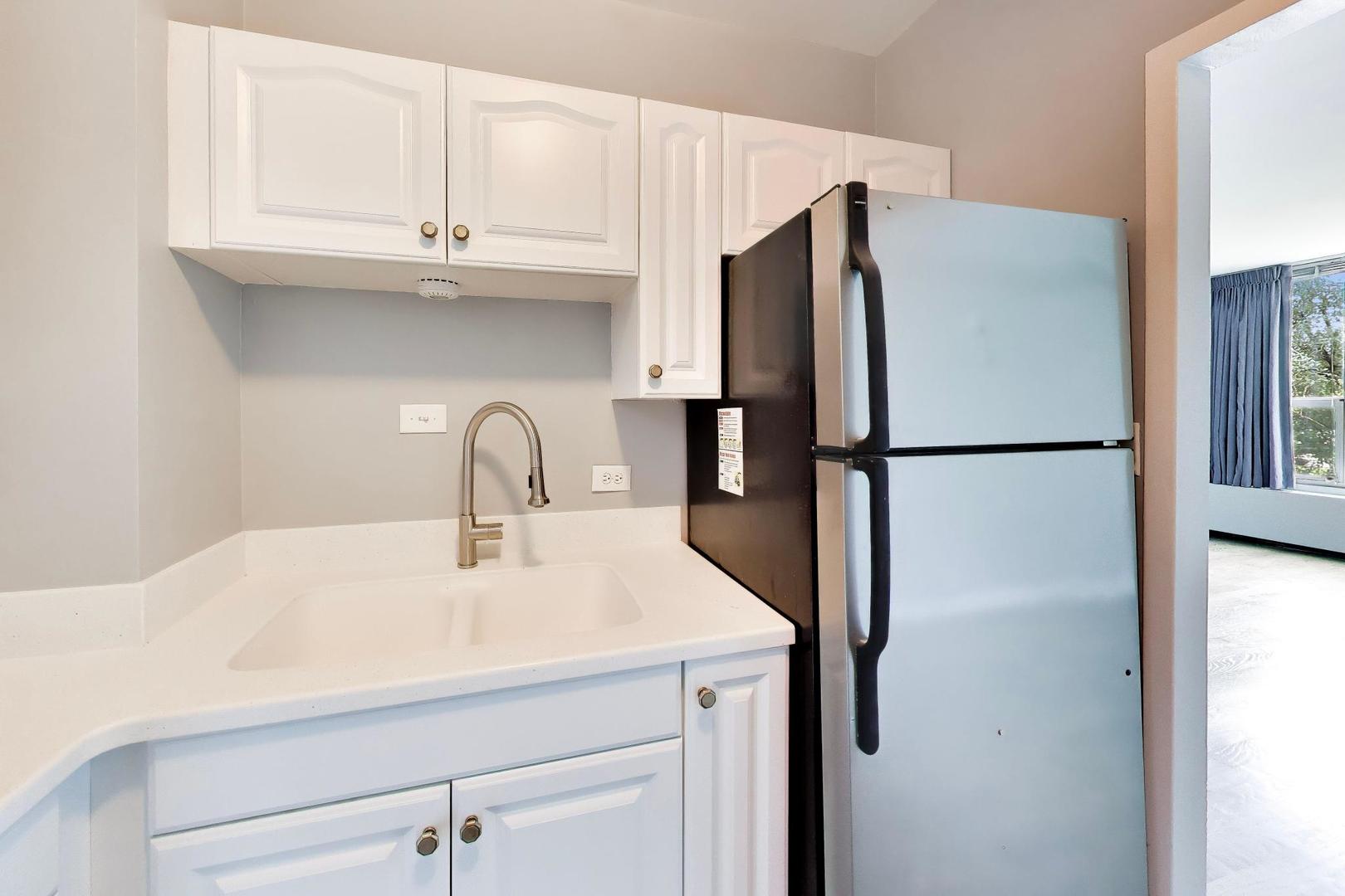 3600 N Lake Shore Drive 222 Property Photo 7