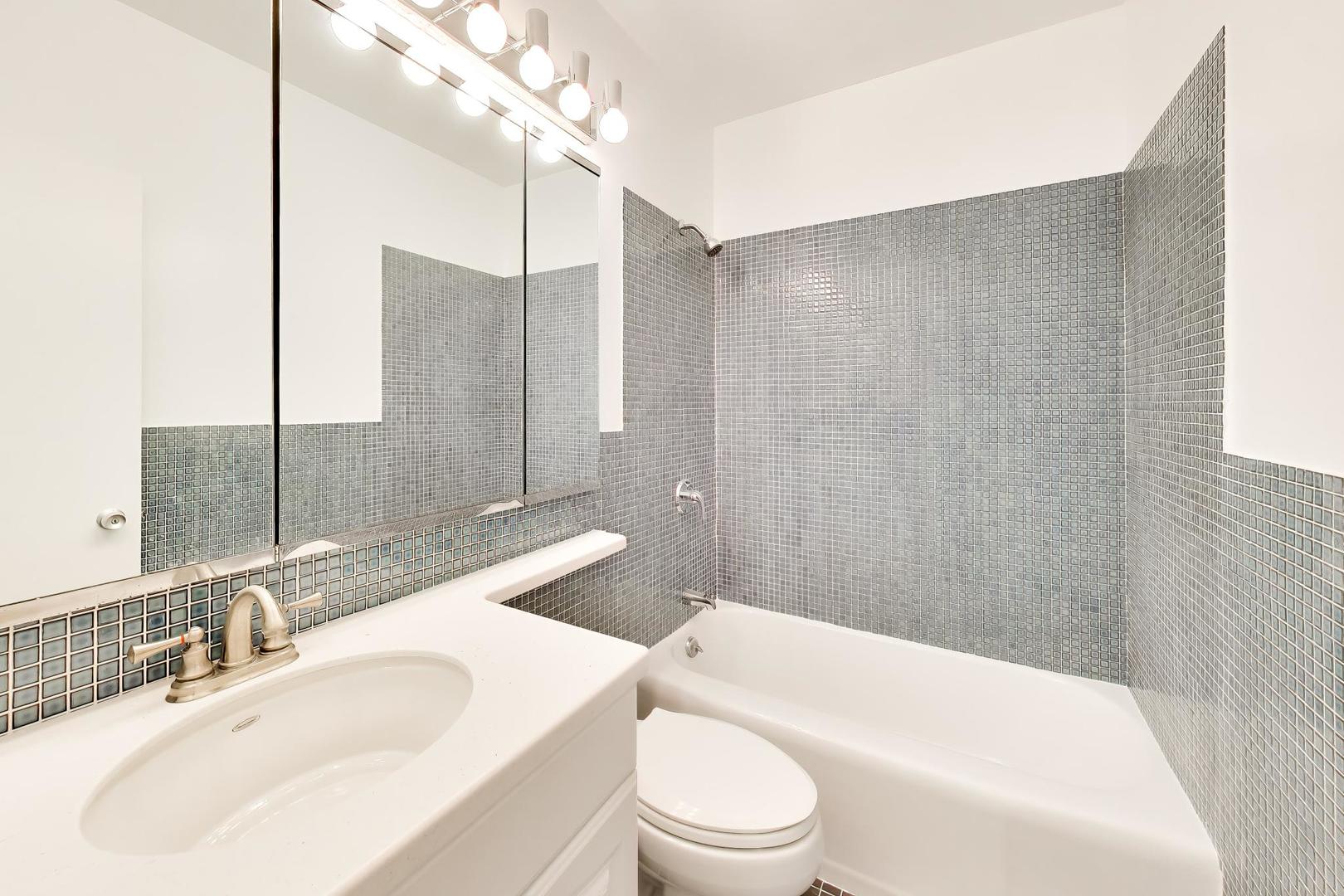 3600 N Lake Shore Drive 222 Property Photo 8