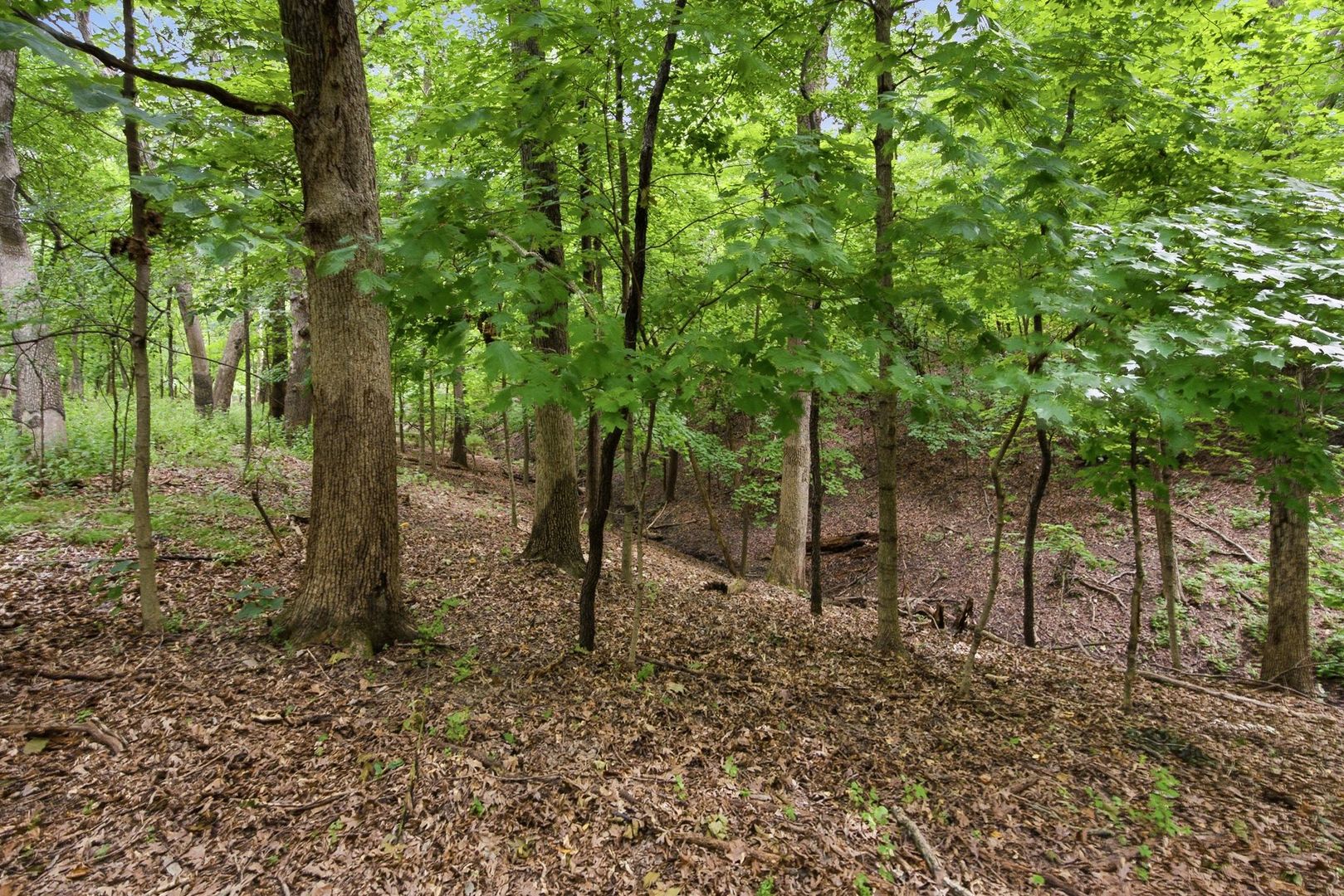 2351 E 28th Road Property Photo 47